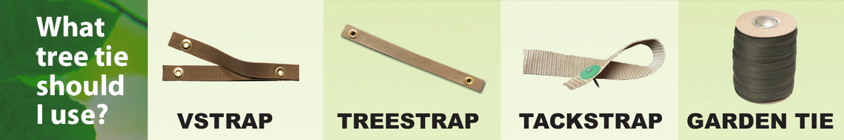 What treestrap should I use?